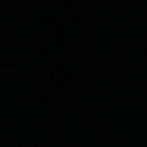 Meet your Posher, Libby